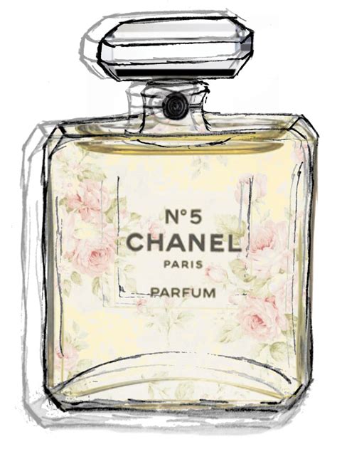 chanel perfume bottle picture|chanel bottle illustration.